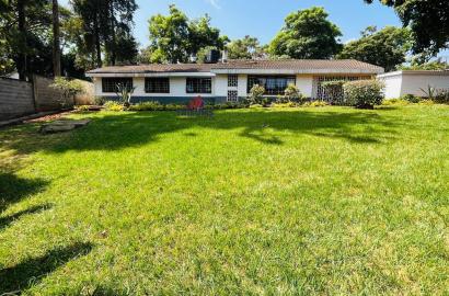 Commercial office spaces to let in Runda